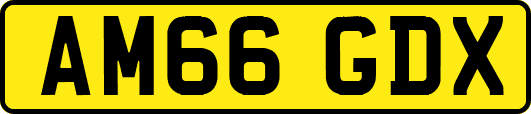 AM66GDX