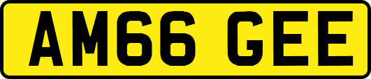 AM66GEE