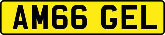 AM66GEL