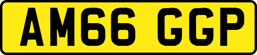 AM66GGP