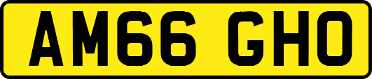 AM66GHO