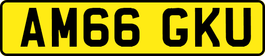AM66GKU