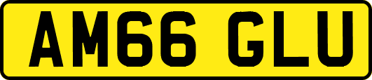 AM66GLU