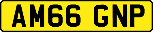 AM66GNP