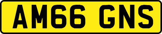 AM66GNS
