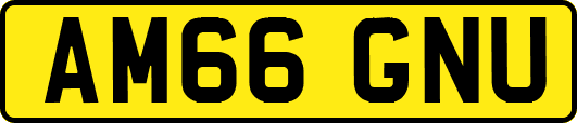 AM66GNU