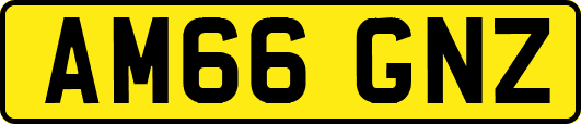 AM66GNZ