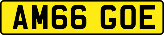 AM66GOE