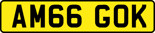AM66GOK