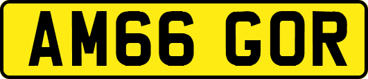 AM66GOR