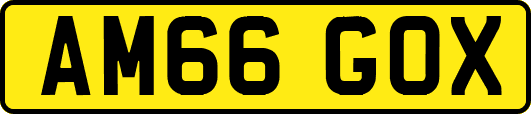 AM66GOX