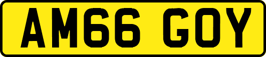 AM66GOY
