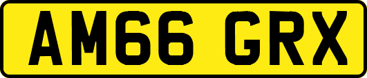 AM66GRX