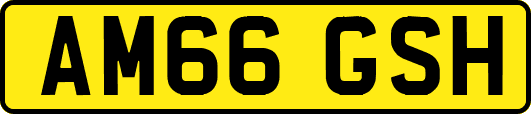 AM66GSH