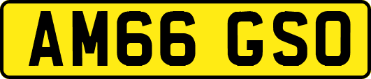 AM66GSO
