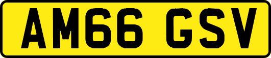 AM66GSV
