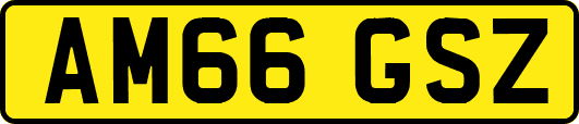 AM66GSZ