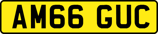 AM66GUC