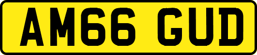 AM66GUD