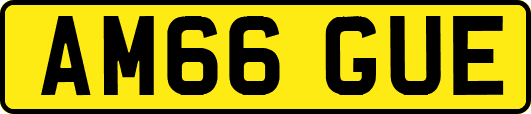 AM66GUE