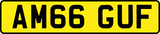AM66GUF