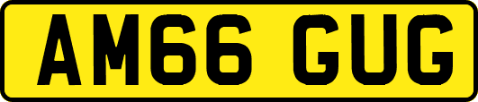 AM66GUG
