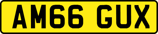 AM66GUX