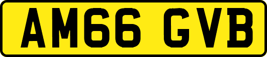 AM66GVB