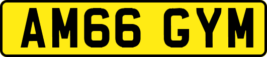 AM66GYM