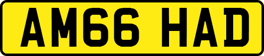 AM66HAD