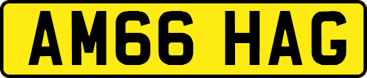AM66HAG