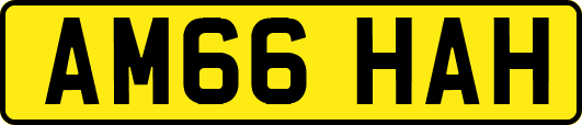 AM66HAH