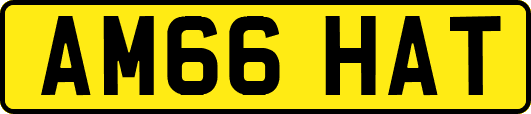 AM66HAT