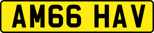 AM66HAV