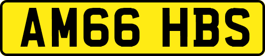 AM66HBS