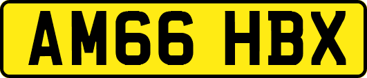 AM66HBX
