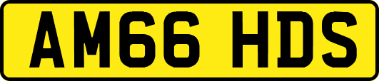 AM66HDS