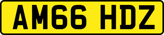 AM66HDZ
