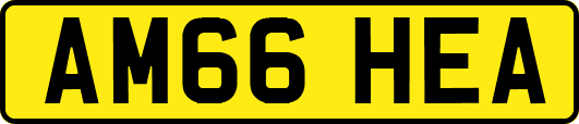 AM66HEA