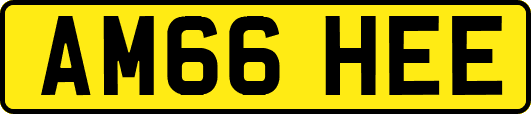 AM66HEE