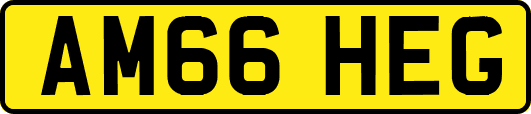 AM66HEG