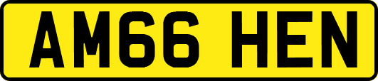 AM66HEN