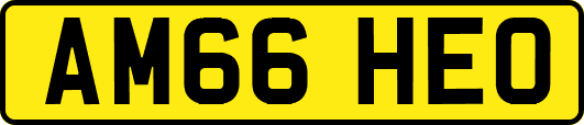AM66HEO