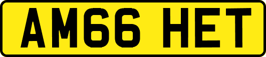 AM66HET