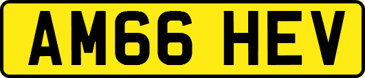 AM66HEV