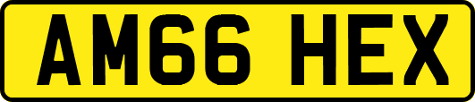 AM66HEX
