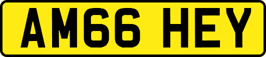 AM66HEY