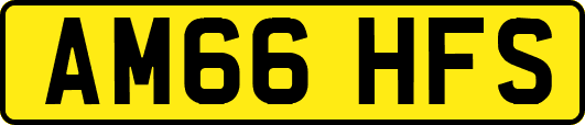 AM66HFS