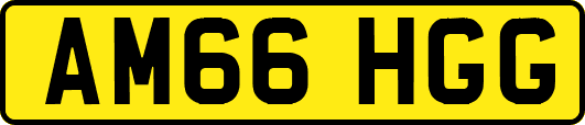AM66HGG