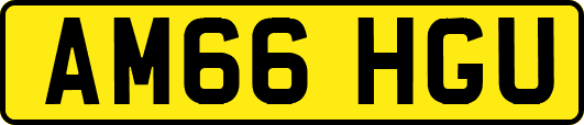 AM66HGU